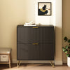 Luma Modern Fluted 2-Tier Vertical Black Shoe Cabinet - Riumlore