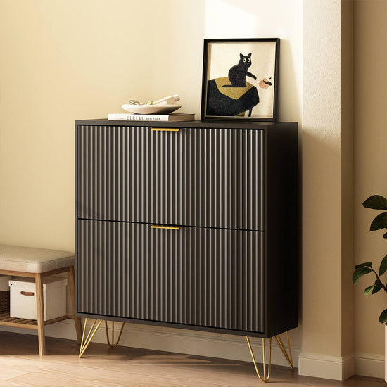 Luma Modern Fluted 2-Tier Vertical Black Shoe Cabinet - Riumlore