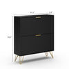 Luma Modern Fluted 2-Tier Vertical Black Shoe Cabinet - Riumlore