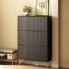 Luma Modern Fluted 3-Tier Vertical Black Shoe Cabinet - Riumlore