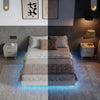 Queen Bed Frame with RGB LED Lights,Floating Bed with Fluted Design;Heavy Duty Steel, Modern Metal Queen Size Bed,White